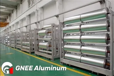 Qual è la durata di conservazione del foglio di alluminio della batteria?